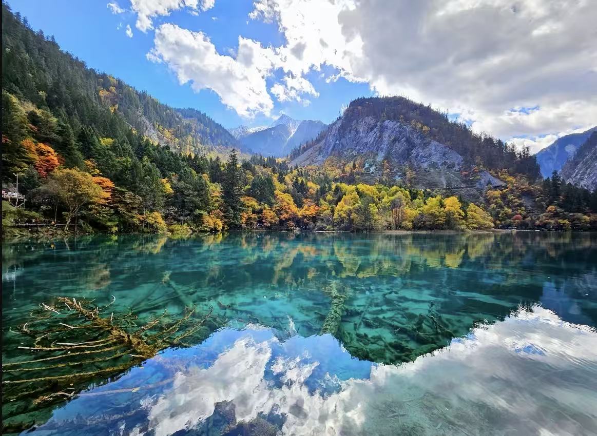 Jiuzhaigou valley with turquoise lakes and forests