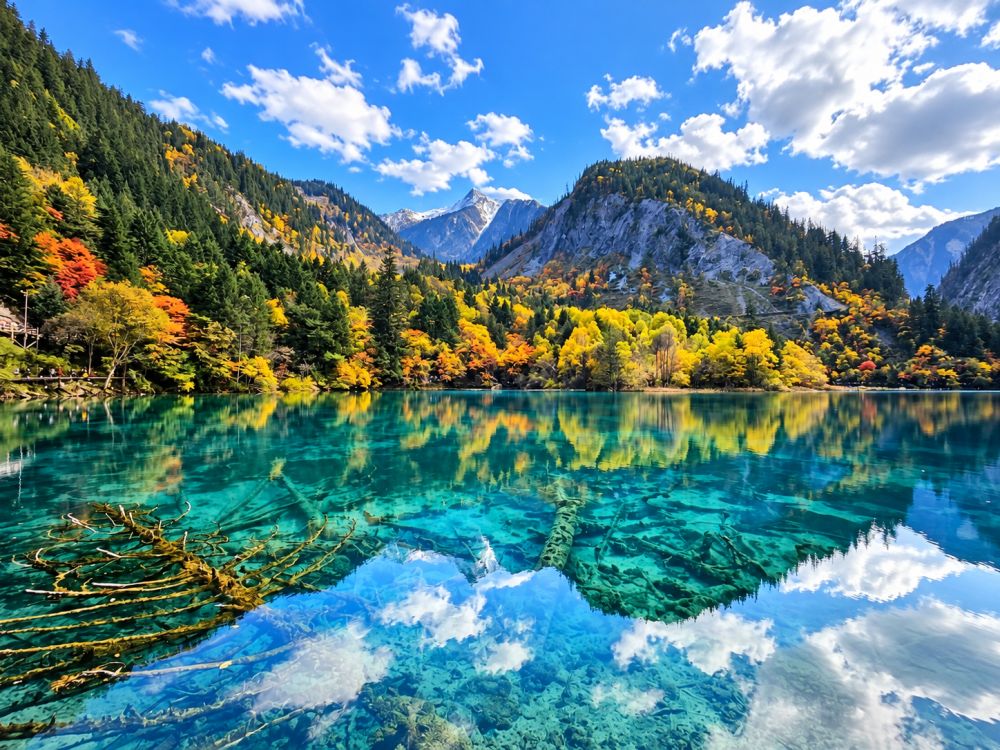 Jiuzhaigou valley with turquoise lakes and forests in Sichuan